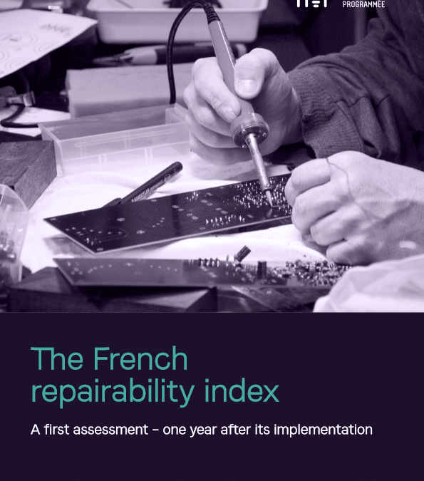 The French repairability index